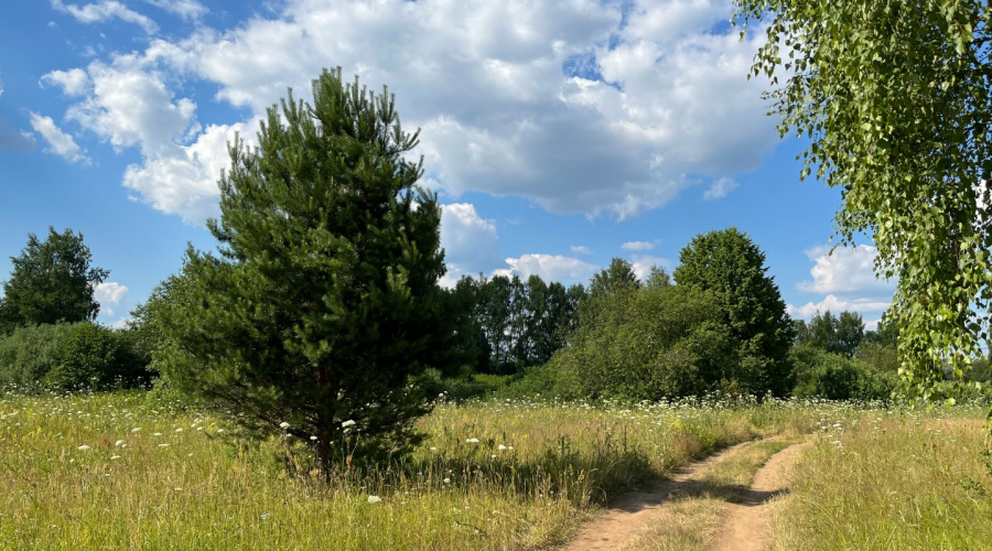 Скидки баннер